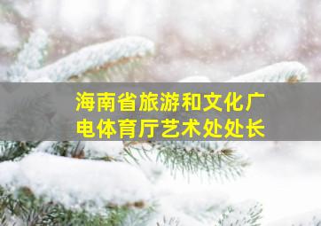 海南省旅游和文化广电体育厅艺术处处长