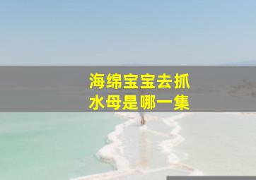 海绵宝宝去抓水母是哪一集