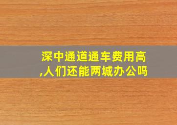 深中通道通车费用高,人们还能两城办公吗