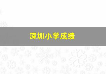 深圳小学成绩