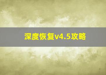 深度恢复v4.5攻略