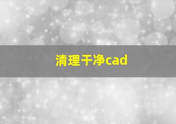 清理干净cad