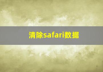 清除safari数据