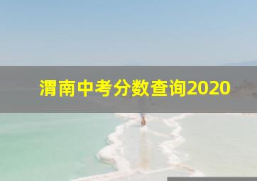 渭南中考分数查询2020