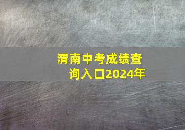 渭南中考成绩查询入口2024年