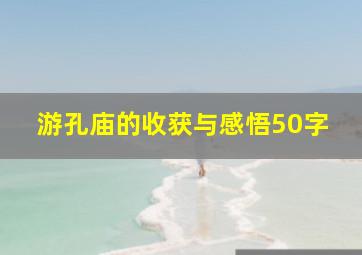 游孔庙的收获与感悟50字