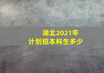 湖北2021年计划招本科生多少