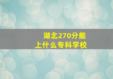 湖北270分能上什么专科学校