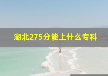 湖北275分能上什么专科