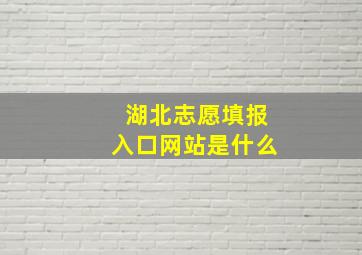 湖北志愿填报入口网站是什么