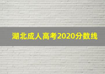 湖北成人高考2020分数线