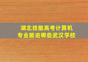 湖北技能高考计算机专业能进哪些武汉学校