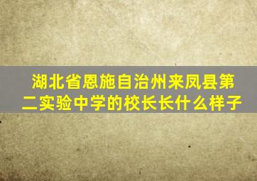 湖北省恩施自治州来凤县第二实验中学的校长长什么样子