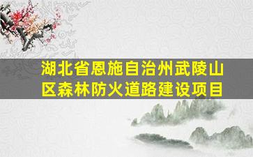 湖北省恩施自治州武陵山区森林防火道路建设项目