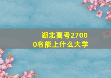 湖北高考27000名能上什么大学