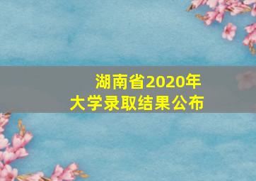 湖南省2020年大学录取结果公布