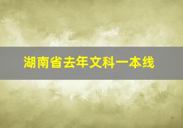 湖南省去年文科一本线