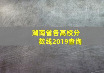 湖南省各高校分数线2019查询