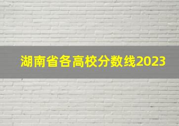 湖南省各高校分数线2023