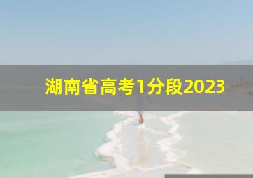 湖南省高考1分段2023