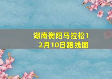 湖南衡阳马拉松12月10日路线图