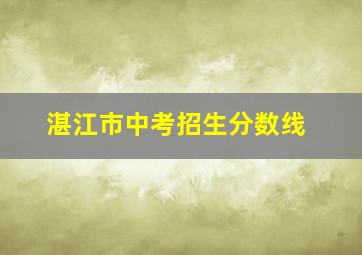 湛江市中考招生分数线