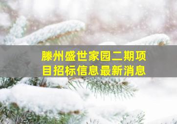 滕州盛世家园二期项目招标信息最新消息