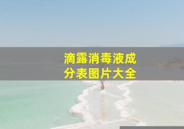 滴露消毒液成分表图片大全