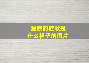 漏尿的症状是什么样子的图片