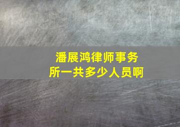 潘展鸿律师事务所一共多少人员啊