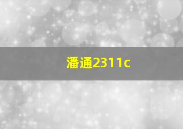 潘通2311c