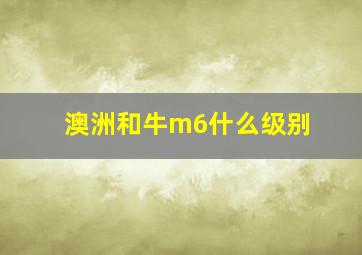 澳洲和牛m6什么级别