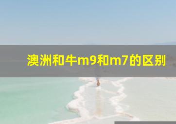 澳洲和牛m9和m7的区别