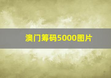 澳门筹码5000图片