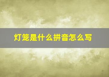 灯笼是什么拼音怎么写