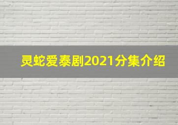 灵蛇爱泰剧2021分集介绍