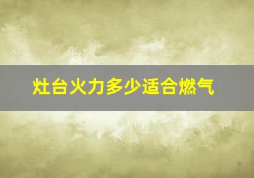 灶台火力多少适合燃气