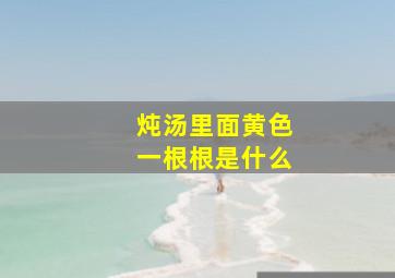 炖汤里面黄色一根根是什么