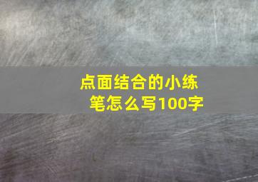 点面结合的小练笔怎么写100字