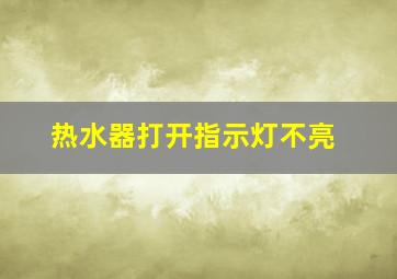 热水器打开指示灯不亮