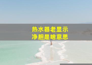 热水器老显示净胆是啥意思