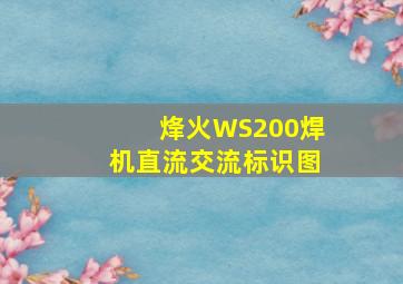 烽火WS200焊机直流交流标识图