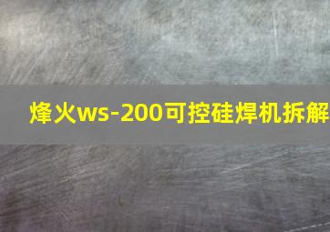 烽火ws-200可控硅焊机拆解