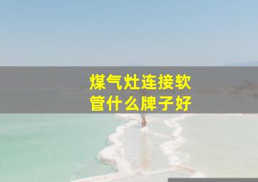 煤气灶连接软管什么牌子好