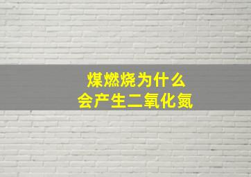 煤燃烧为什么会产生二氧化氮