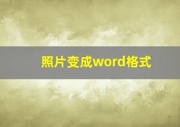 照片变成word格式