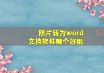 照片转为word文档软件哪个好用