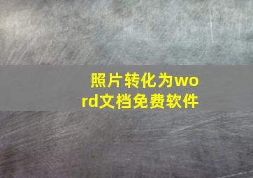 照片转化为word文档免费软件