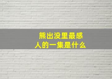 熊出没里最感人的一集是什么