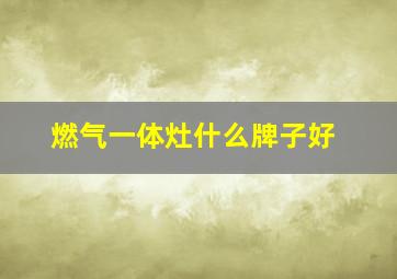 燃气一体灶什么牌子好